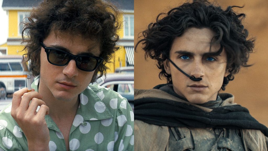 Timothée Chalamet: De Paul Atreides a Bob Dylan, un Viaje a la Autenticidad