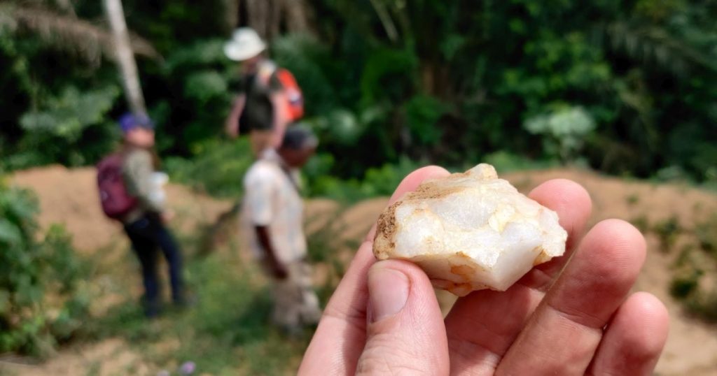 La Conquista Oculta de las Selvas Tropicales por Nuestros Ancestros