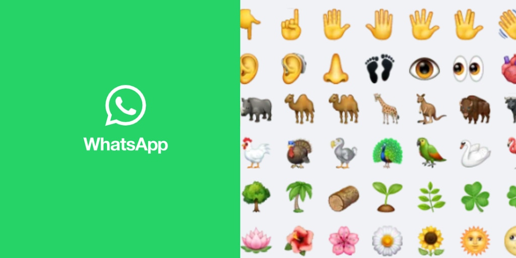 Nuevos Emojis en WhatsApp: Expresiones que Transforman tus Conversaciones