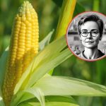 Barbara McClintock: La Pionera de la Genética y su Revolución Científica