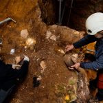 Redefiniendo Nuestros Orígenes: El Hallazgo de Atapuerca