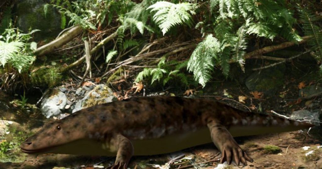 La Resiliencia de los Temnospóndilos: Supervivencia en el Caos de la Extinción Masiva